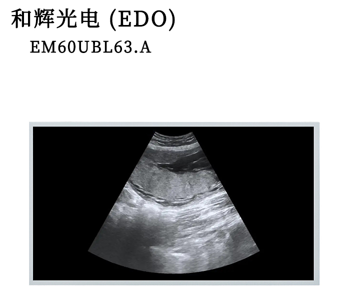 EM60UBL63.A 电容触摸屏